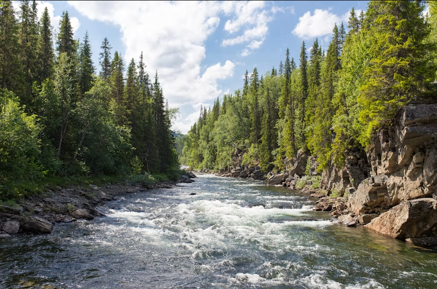 The River That Vanished: Tracing the Saraswati Through Geology and Verse